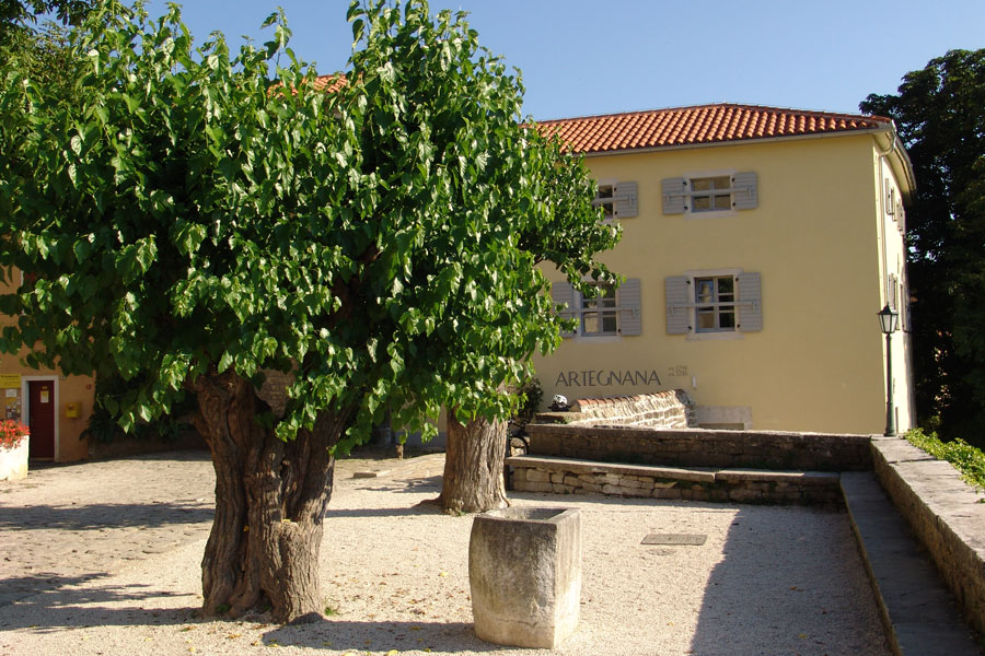 Artegnana building with centuries-old mulberry trees in the courtyard