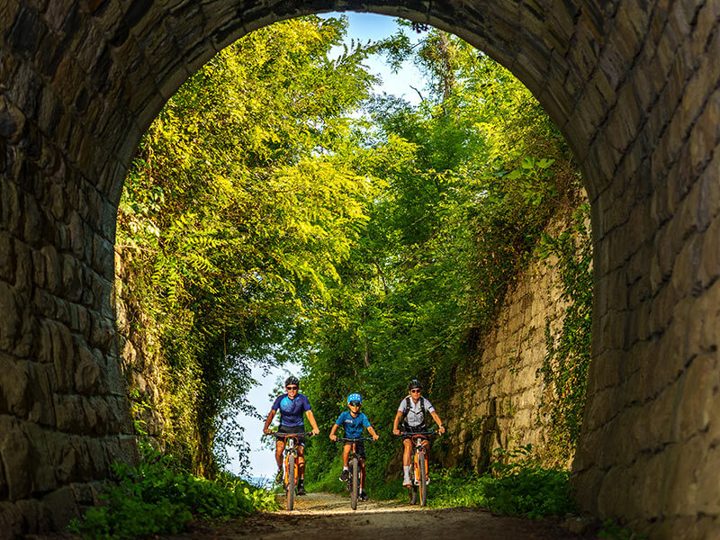 Cyclist on the Parenzana trail surrounded by green Istrian countryside
