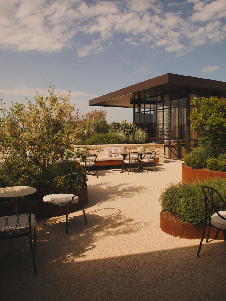 Vinarija Radovan — organic wines and sustainable winemaking in Istria