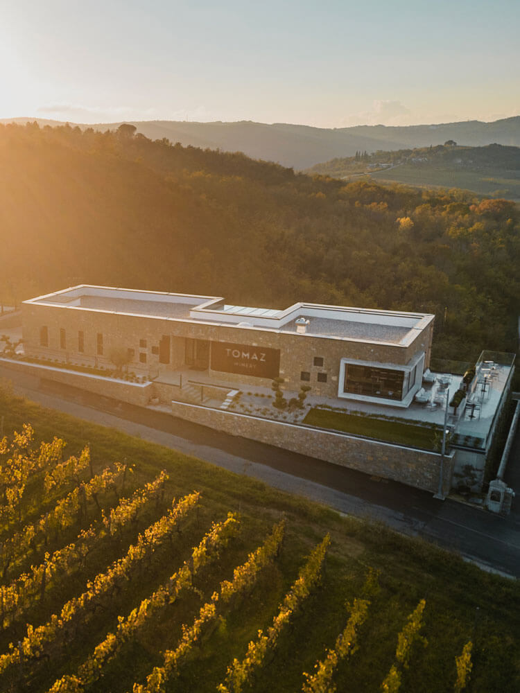 Vinarija Tomaz — award-winning Malvazija and Teran wines in Istria