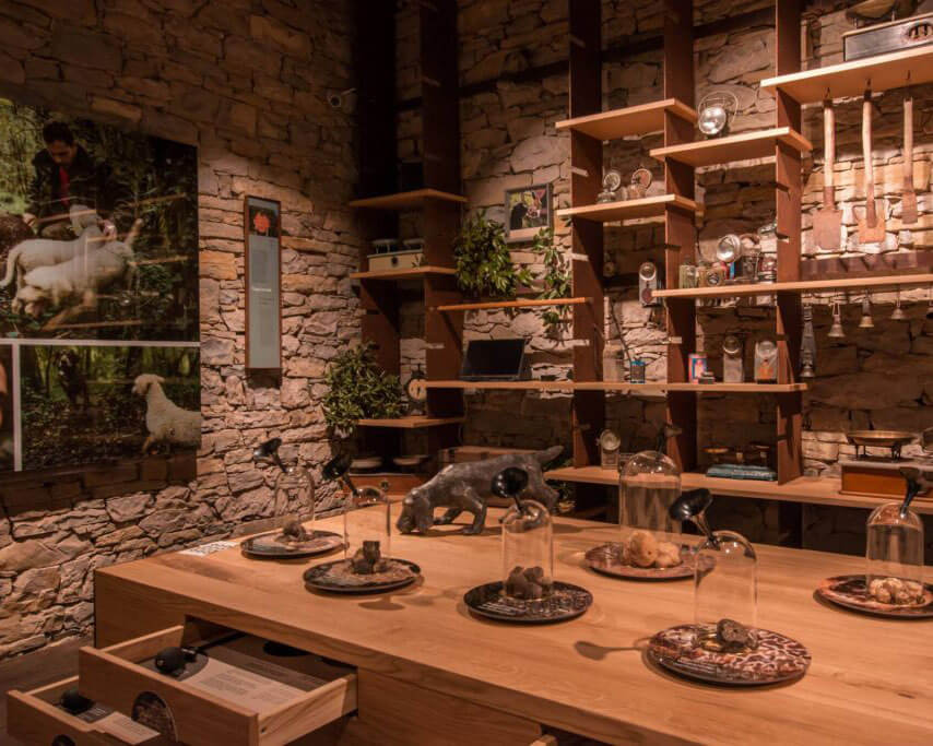 Truffle hunting with a trained dog in Istrian oak forest near Grožnjan