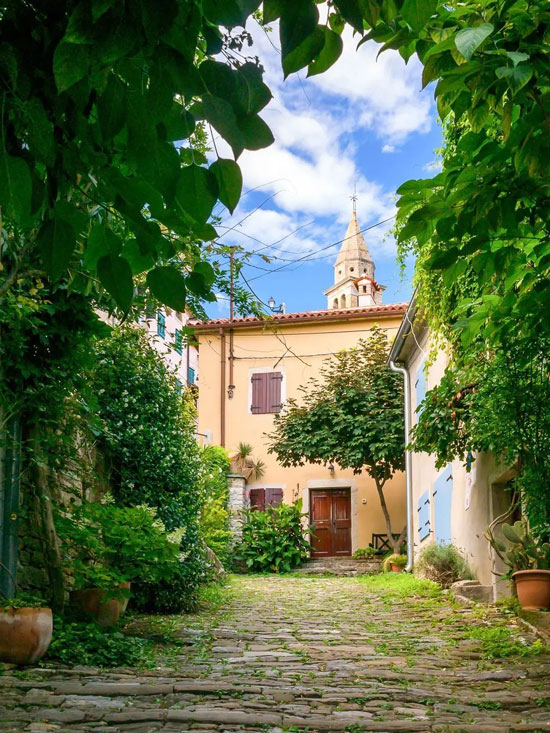 Lush green cobblestone alley in Grožnjan with stone houses and church tower in the background